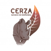 Cerza Logo