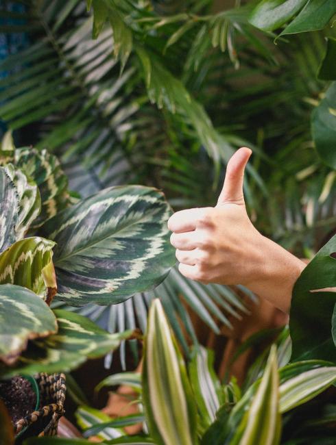 Féliciter vos salariés, tout simplement