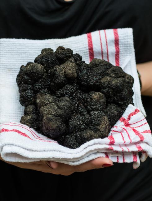 musee insolite parc bournat