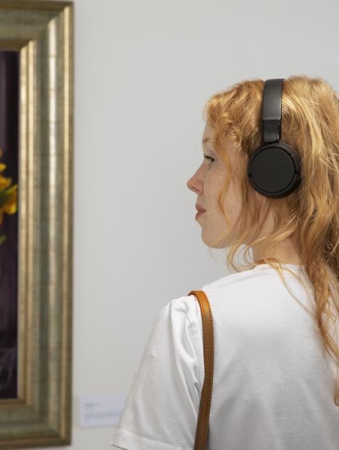 visiter lille beaux arts ancv