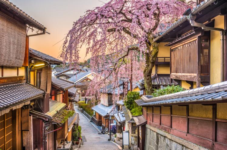 Partir en mars au japon avec les Chèques-Vacances