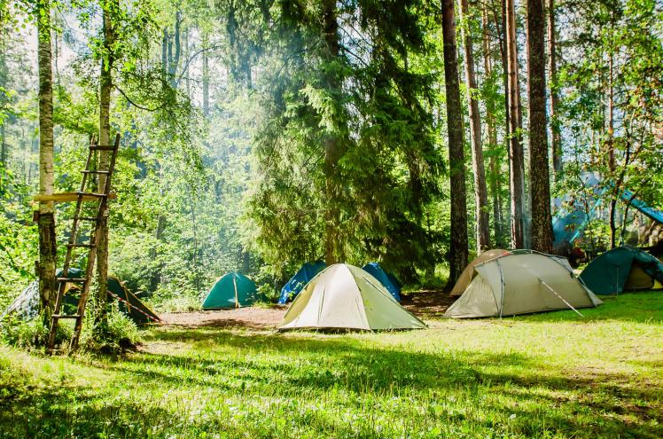 camping chèque-vacances connect