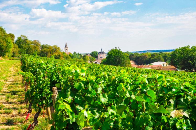 Chalon sur Saône route des vins de bourgogne