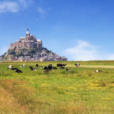 Nos 2 itinéraires pour visiter la Normandie avec vos Chèques-Vacances 