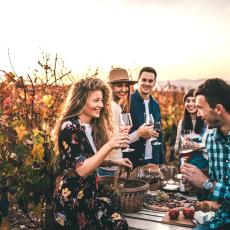 Dégustation de Beaujolais