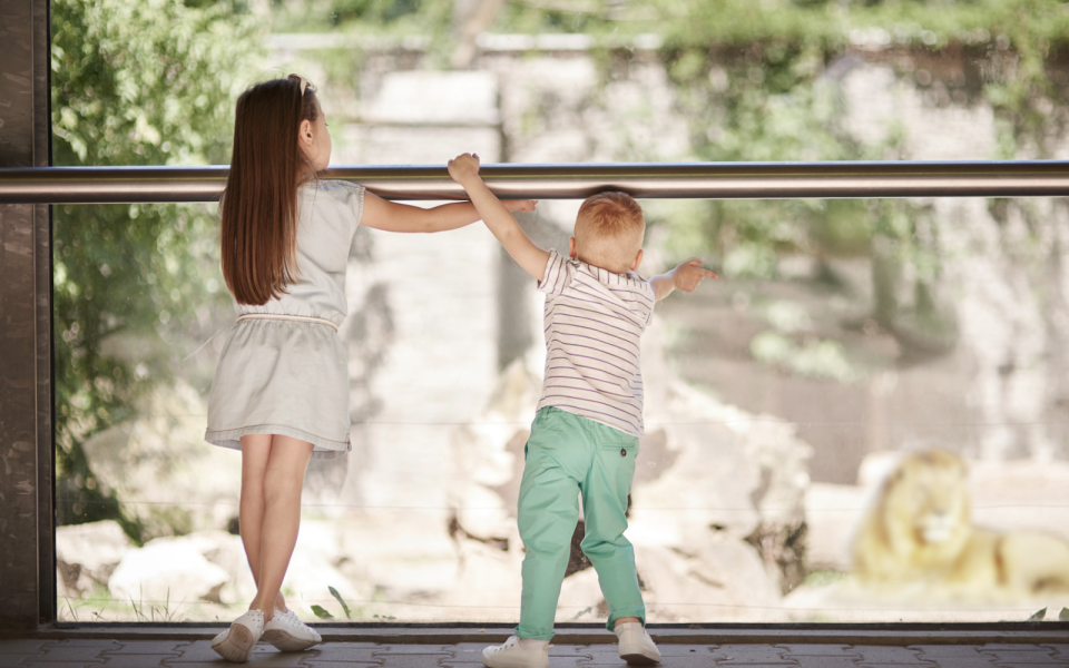 Animer sa communauté avec des jeux concours