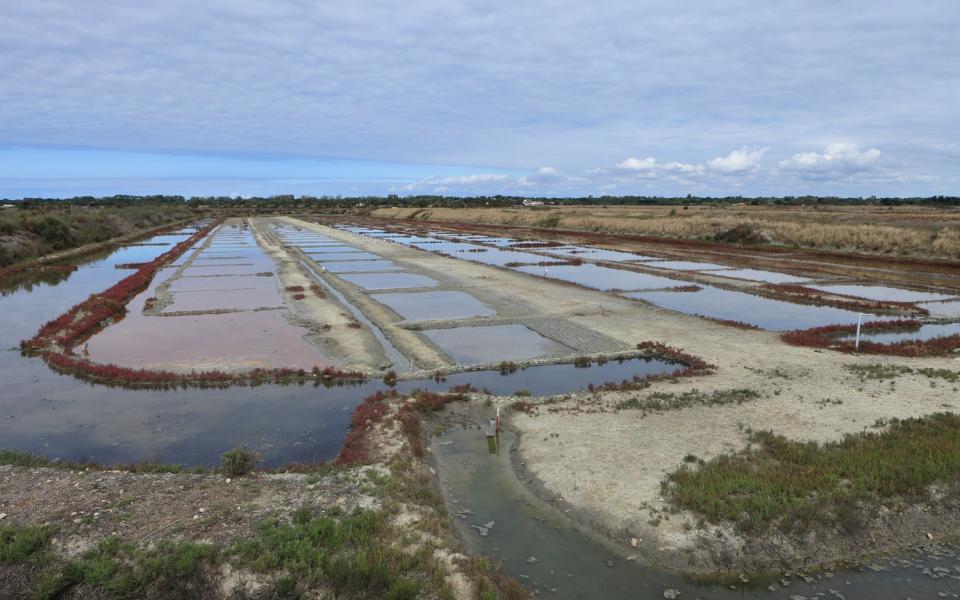 découverte des marais salants île de ré ANCV