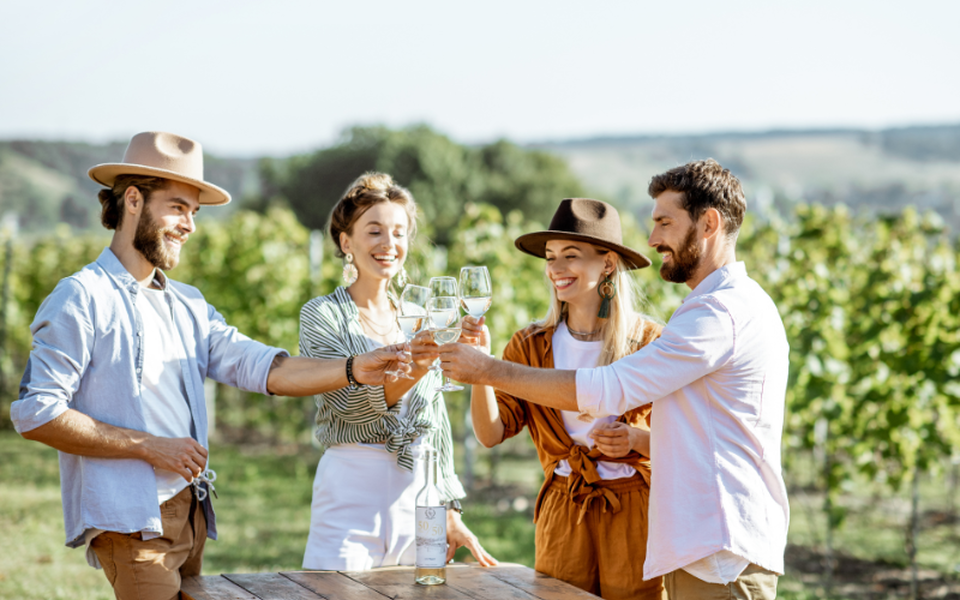 vin degustation que faire autour de bordeaux