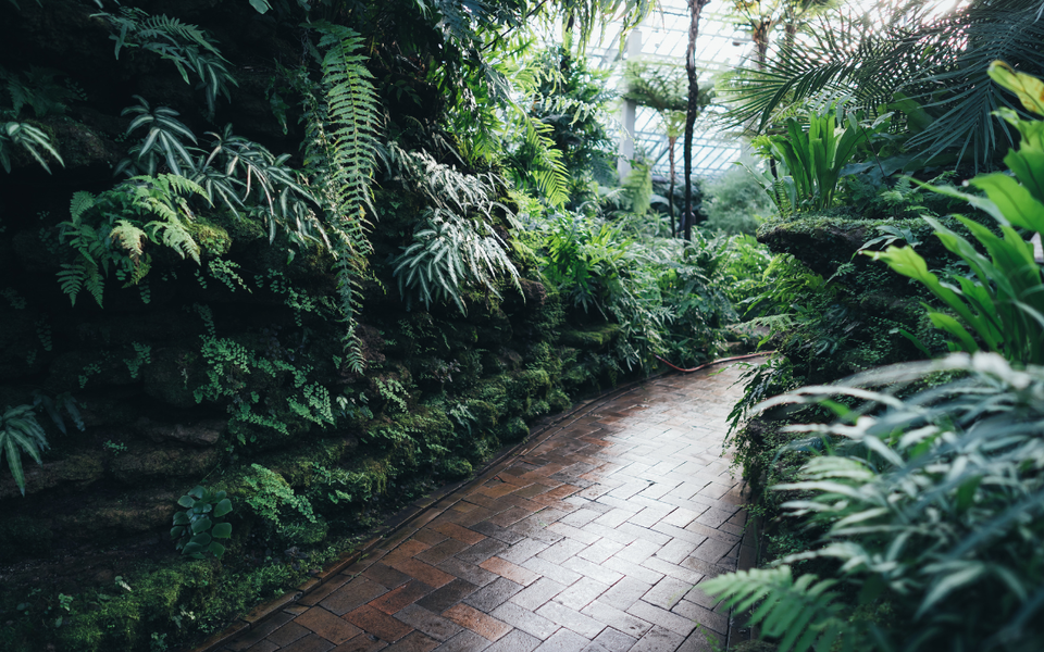 que visiter a brest jardin conservatoire