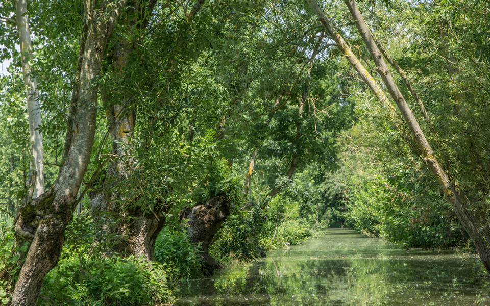 balade velo vendee marais poitevin