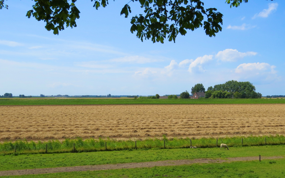 balade velo vendee polders