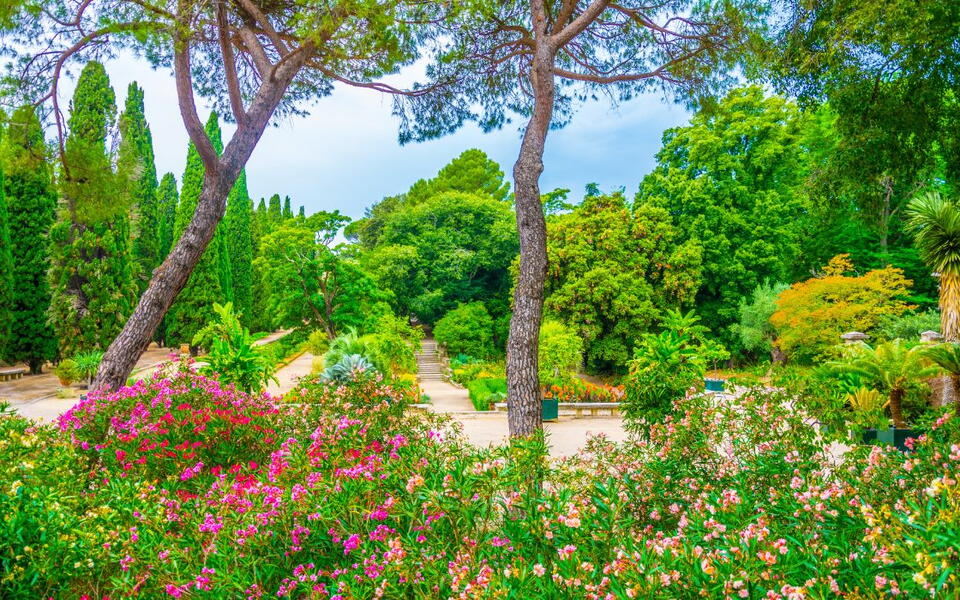 journées du patrimoine montpellier jardin de plantes