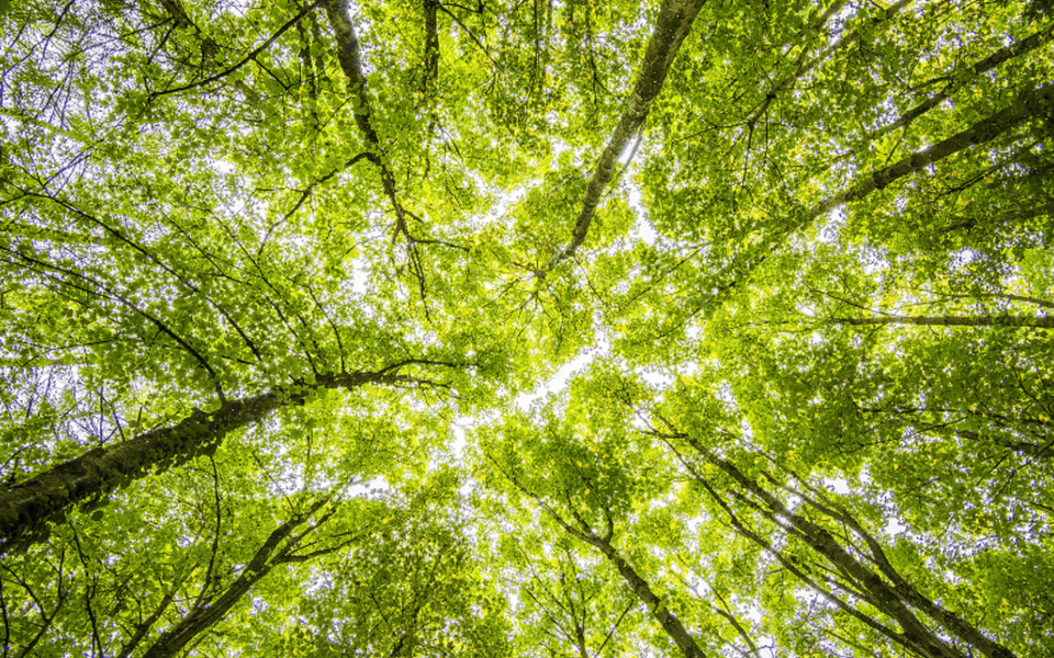 week end nature paris