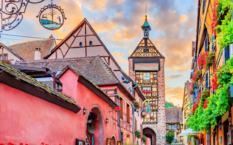 route des vins alsace riquewihr