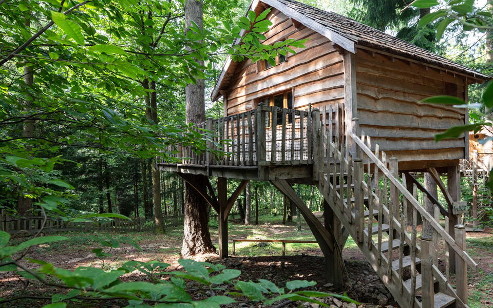 Cabane en bois sur pilotis dans la forêt de Labrousse, avec un escalier et un balcon