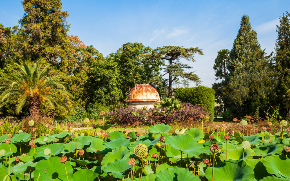 week-end montpellier jardin