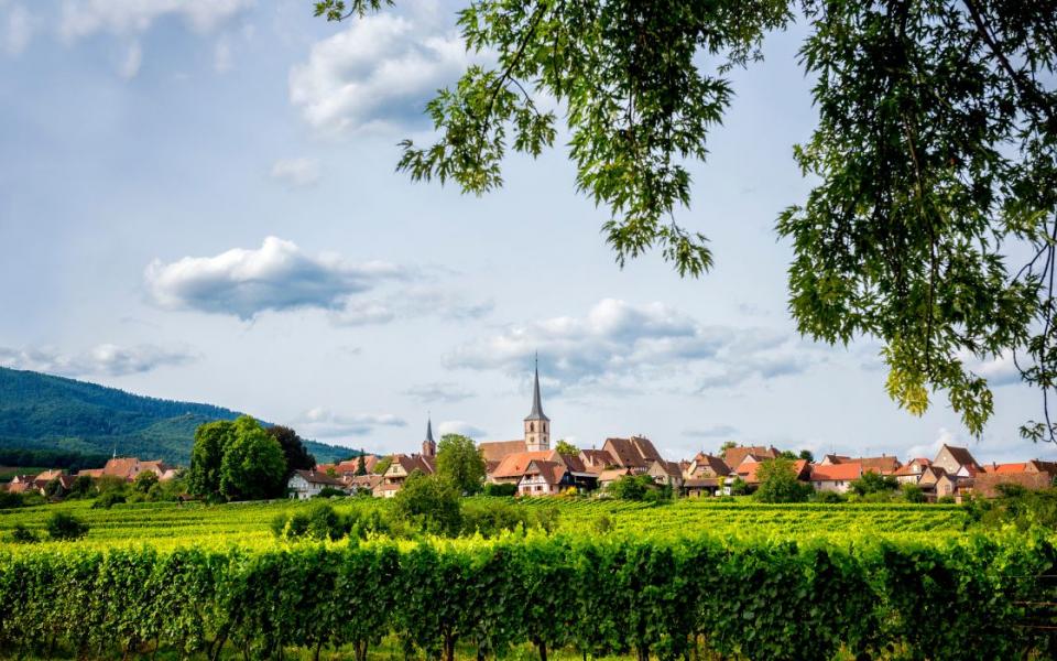 visiter colmar route des vins d'alsace cheque-vacances