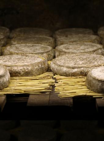 atelier cuisine fromage Auvergne