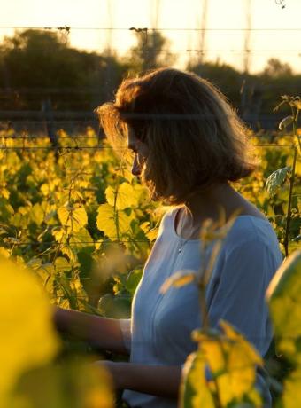 Beaune route des vins Bourgogne