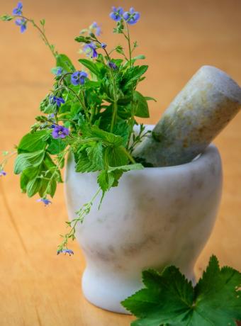 atelier diy fleurs sauvages