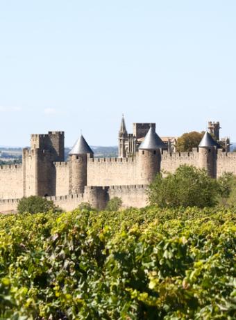 Cité de Carcassonne Les Visiteurs ANCV