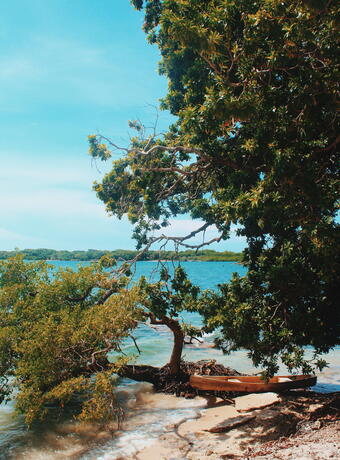 L’île de Bora Bora