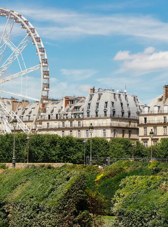 jardin des tuilerie paris 