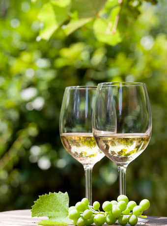 œnotourisme cheque vacances