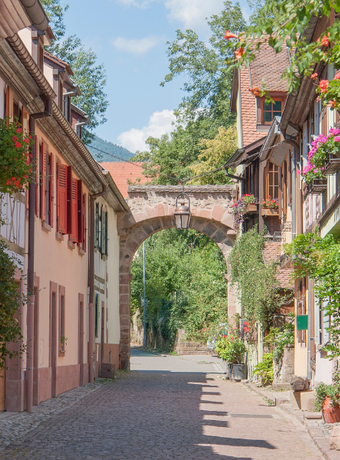 route des vins alsace kaysersberg