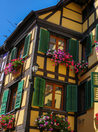 route des vins alsace ribeauville