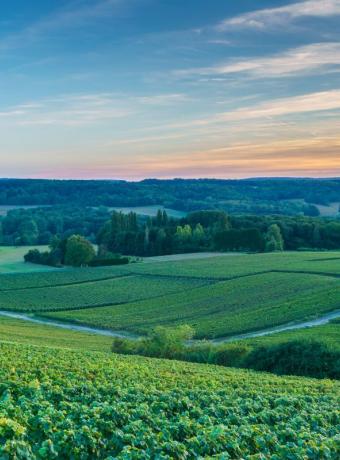 visiter parc montagne reims leguide ancv