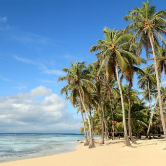 Bronzer sur les plus belles plages de Martinique