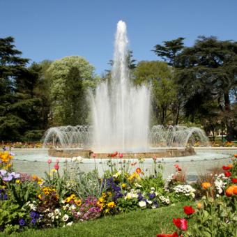 Jardin des plantes Toulouse