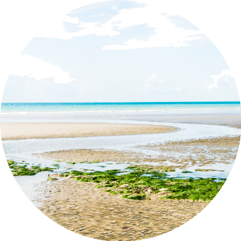 cote opale en mode van