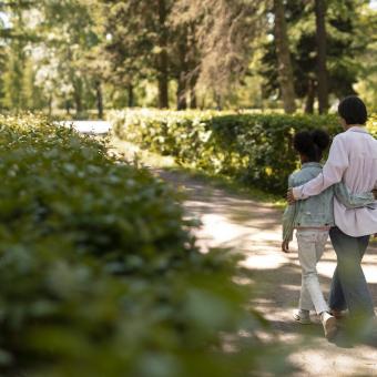visiter toulouse jardin des plantes ancv