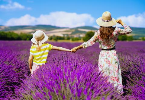 activites famille paca